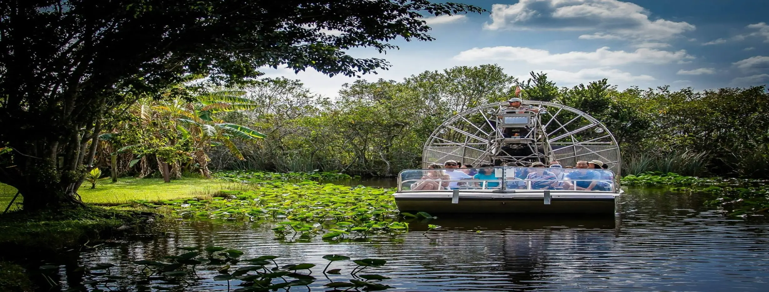 Image for Everglades Safari